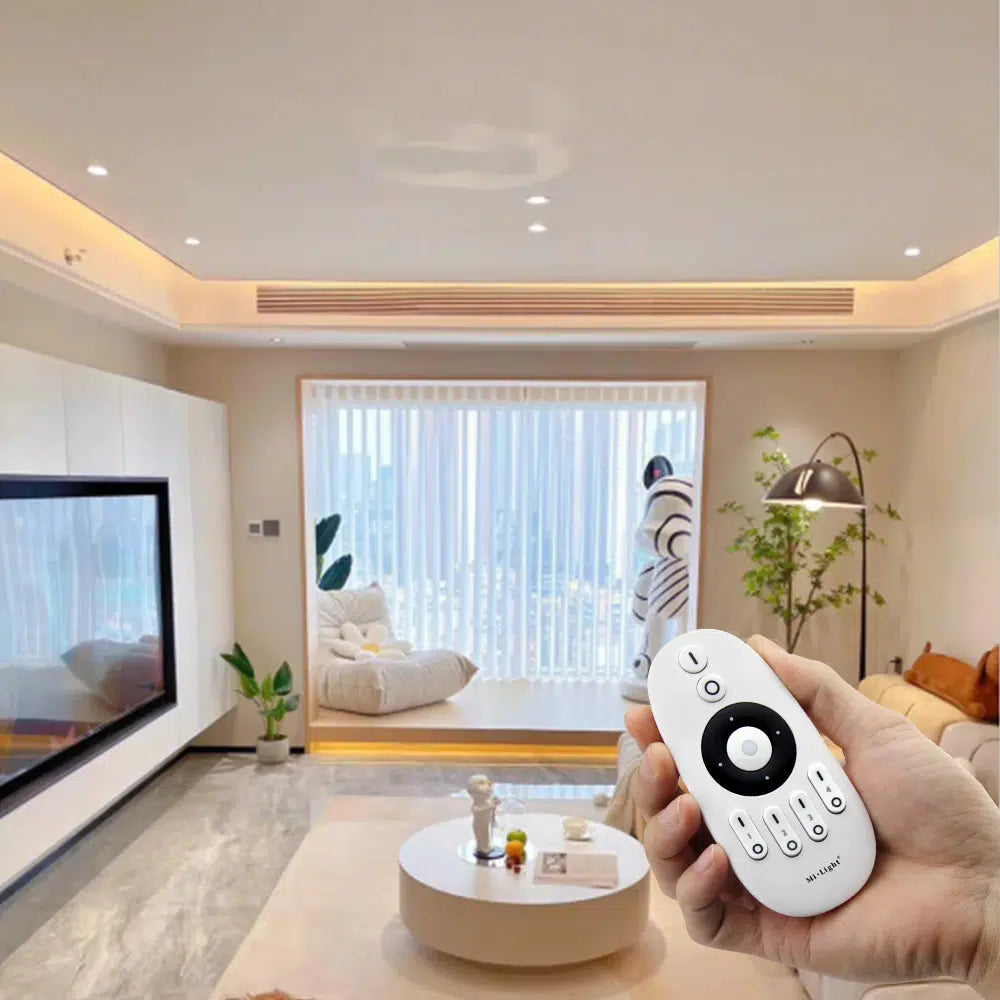 MINI CONTROLADOR LED E2-RF 2 EN 1 (SINGLE COLOR - DUAL WHITE) DC12 ~ 24V RF 2.4GHz MAX 12A IP20