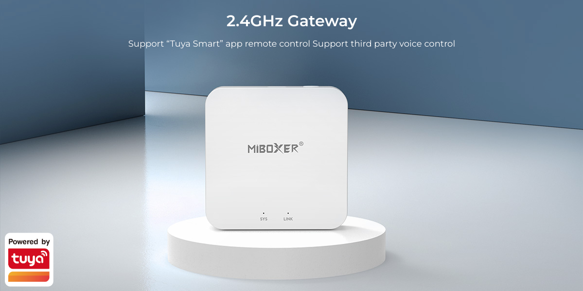 2.4GHz RF GATEWAY WIFI